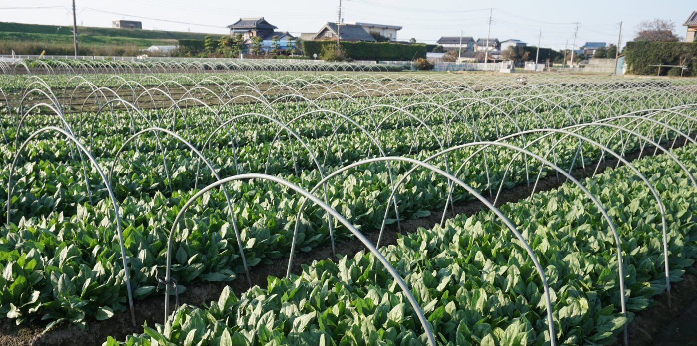 【相続事例紹介】遠隔地の相続した農地！さてどうする？