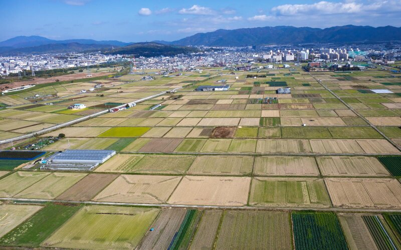 【トピックス】生産緑地　2022年問題